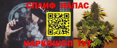 шишки Моздок