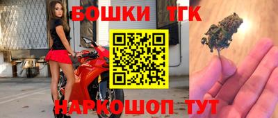 шишки Моздок
