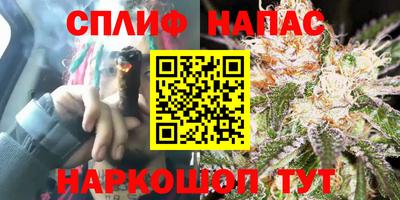 шишки Моздок
