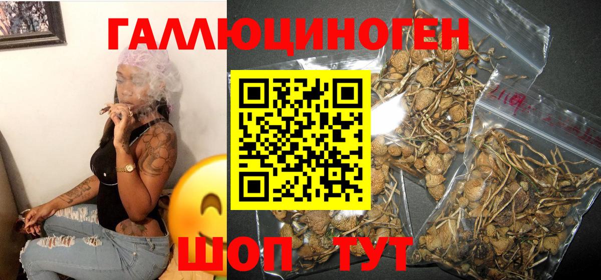Урюпинск  наркошоп  Вход с VPN  Галлюциногенные грибы Psilocybe  Галлюциногенные грибы MAGIC MUSHROOMS 