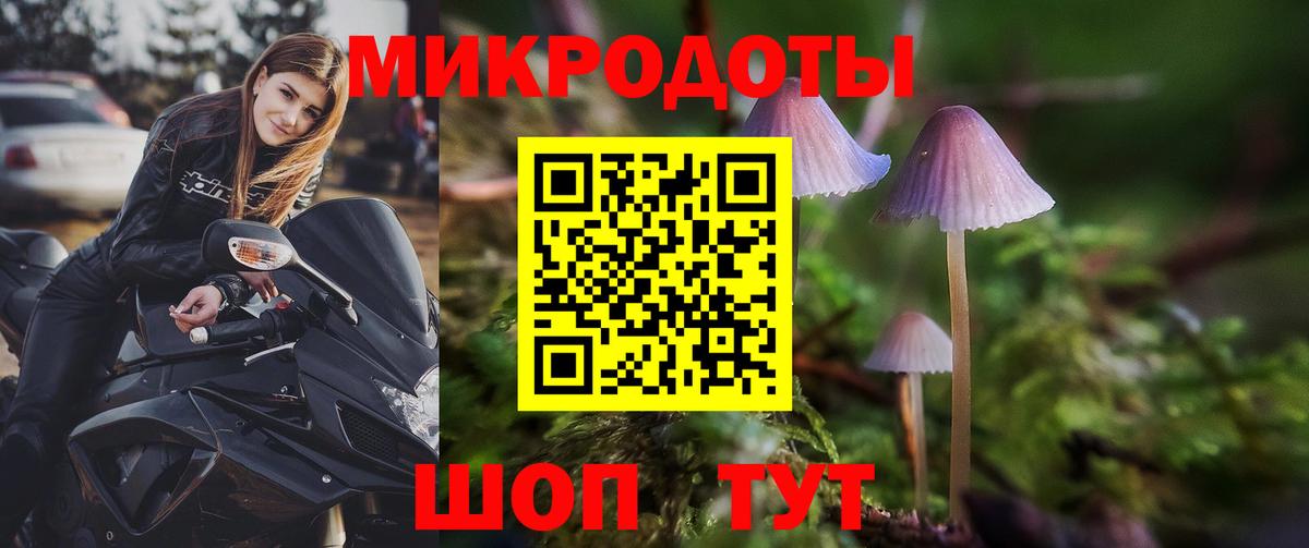 Псилоцибиновые грибы мухоморы Урюпинск